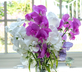 The Dray House - Gallery - picture 