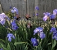 The Dray House - Gallery - picture 