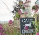 The Horse Guards Inn - Gallery - picture 