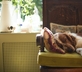 The Horse Guards Inn - Gallery - picture 