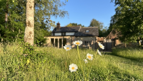The Little House - Gallery