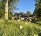 The Little House - Gallery - picture 
