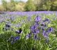 The Little House - Gallery - picture 