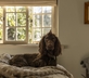 The Little House - Gallery - picture 