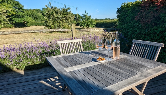 The Milking Parlour - Gallery