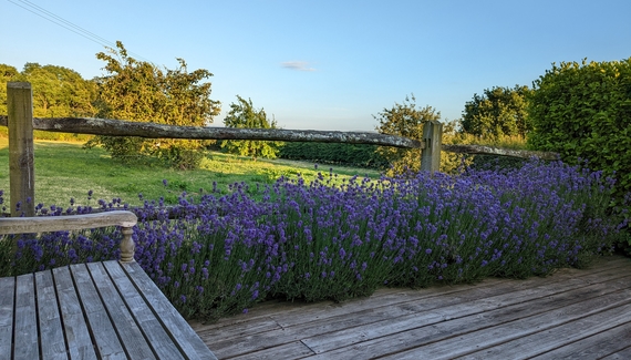 The Milking Parlour - Gallery