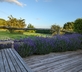 The Milking Parlour - Gallery - picture 