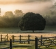 Castlemans Stables - Gallery - picture 