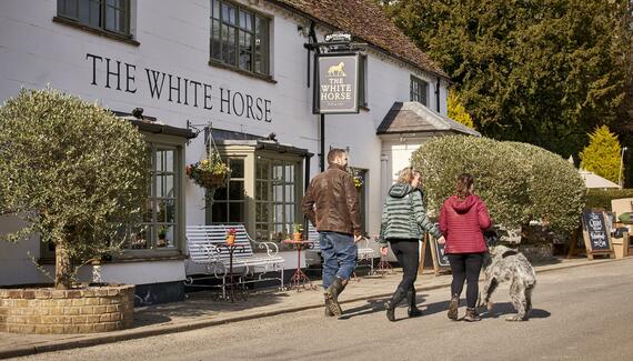 The White Horse - Gallery