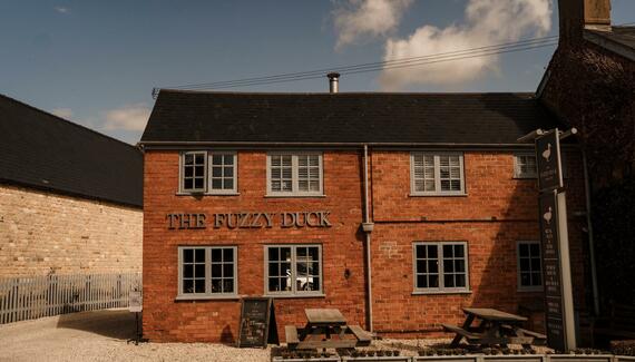 The Fuzzy Duck - Gallery