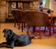 The Red Lion - Gallery - picture 