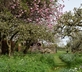 Anvil Cottage - Gallery - picture 