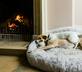 Overtown Manor - Gallery - picture 