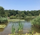 The Barn at Wood Farm - Gallery - picture 