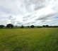 The Old Swan - Gallery - picture 