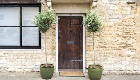 The Old Swan - Gallery