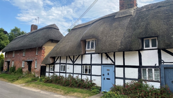 The Thatched Hive - Gallery