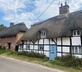The Thatched Hive - Gallery - picture 