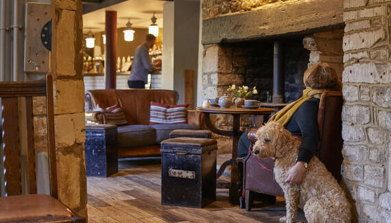 Timbrell’s Yard - Gallery