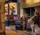 Timbrell’s Yard - Gallery - picture 