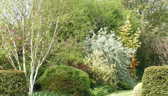 Carlton Barns - Gallery