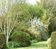 Carlton Barns - Gallery - picture 