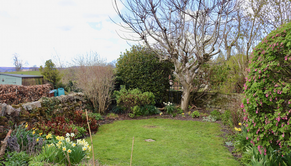 Hideaway Cottage - Gallery