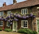 Ivy Cottage - Gallery - picture 