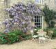 Mallard Grange - Gallery - picture 