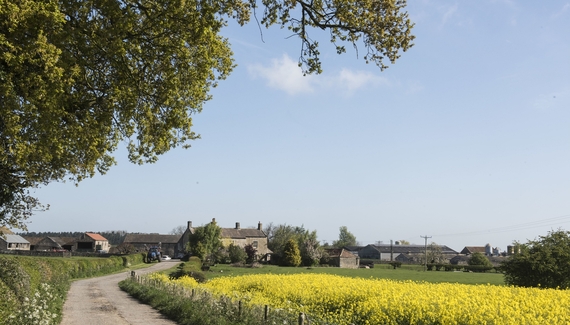 Mallard Grange - Gallery