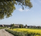Mallard Grange - Gallery - picture 