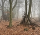 Pear Tree House - Gallery - picture 