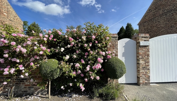 Pear Tree House - Gallery