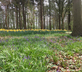 Pear Tree House - Gallery - picture 