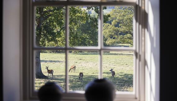 The Coach House Lodges at Denton Reserve - Gallery