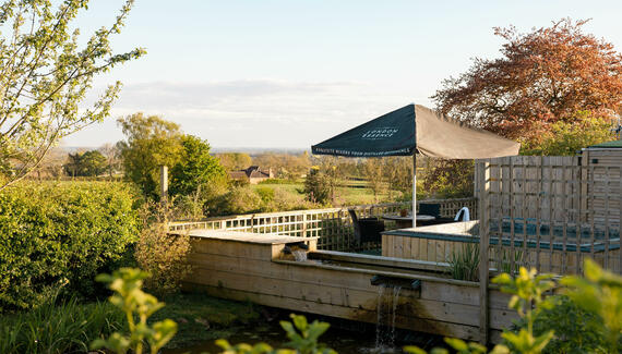 The Durham Ox - Gallery