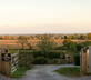 The Durham Ox - Gallery - picture 