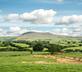 The Traddock - Gallery - picture 