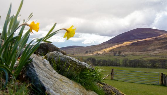 Colmeallie Bothy - Gallery