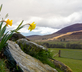 Colmeallie Bothy - Gallery - picture 