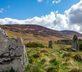 Colmeallie Bothy - Gallery - picture 