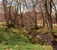 Colmeallie Bothy - Gallery - picture 
