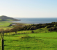 Ballantrae Harbour Cottages - Gallery - picture 