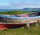 Ballantrae Harbour Cottages - Gallery - picture 