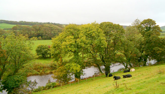 Ballantrae River Cottages - Gallery