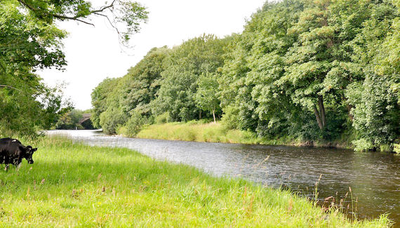 Ballantrae River Cottages - Gallery