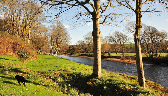 Ballantrae River Cottages - Gallery