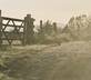 Longshot Cottage - Gallery - picture 