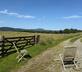 Longshot Cottage - Gallery - picture 