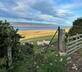 Old Parkhill Cottage at Hyrneside - Gallery - picture 